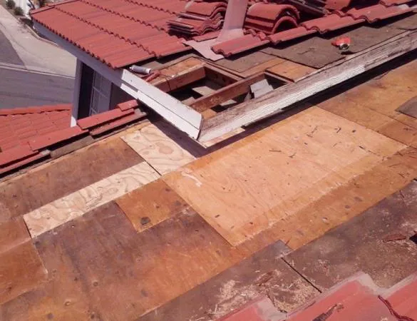 Dominic's Roofing Picture 3