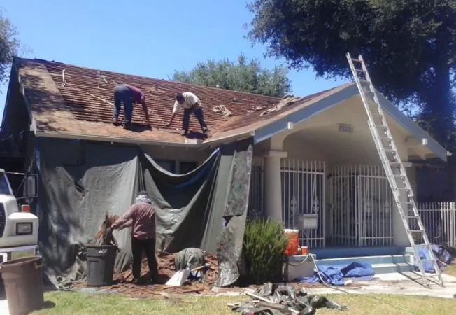 Dominic's Roofing Picture 8