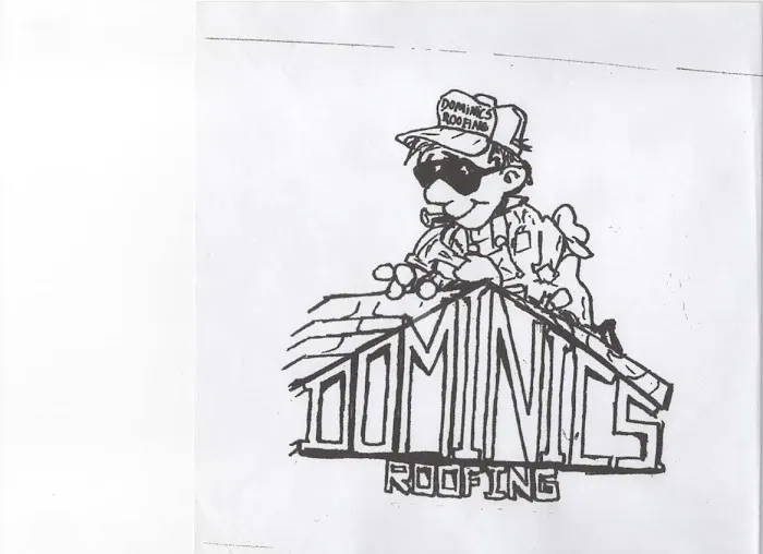 Dominic's Roofing Picture 7