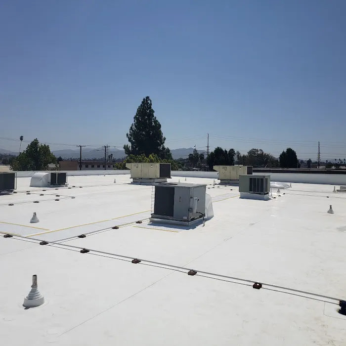 Downright Roofing Co. Picture 1