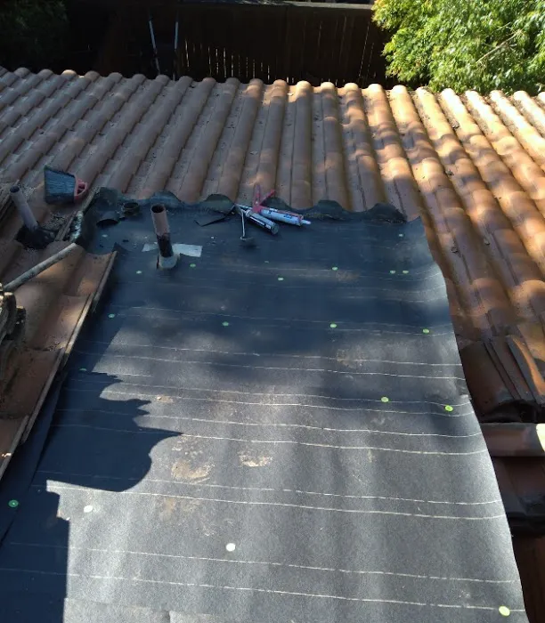 COLLINS ROOFING & REPAIR Picture 7