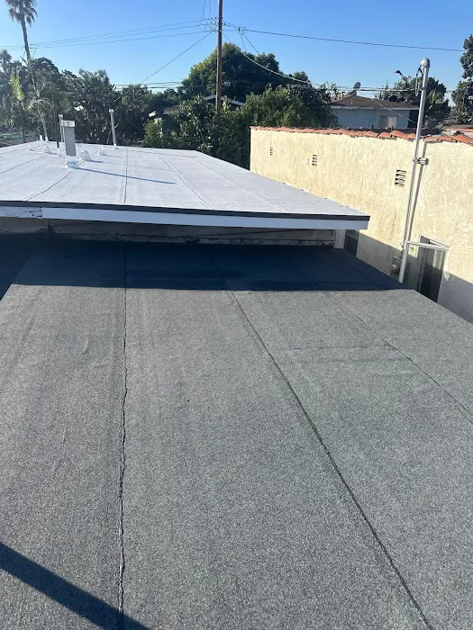 Epic Roof Replacement Picture 3