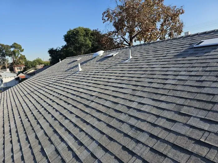 Newhaus Roofing & Construction Picture 6