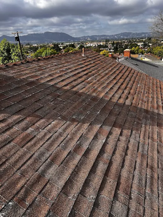 Total Roofing, Inc. Picture 4