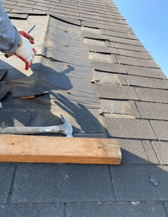 Evo Roof Repair Sacramento Picture 5