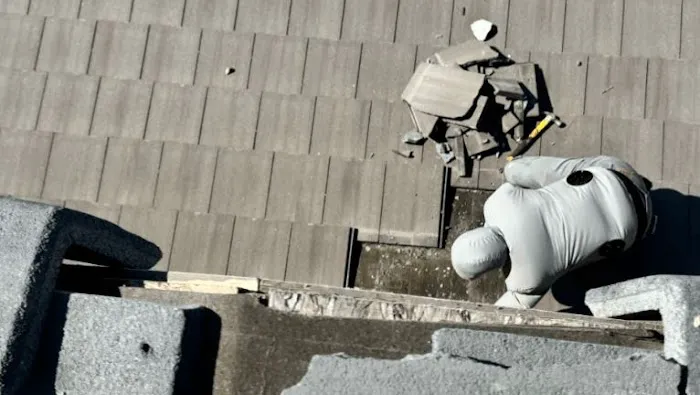 Evo Roof Repair Sacramento Picture 1