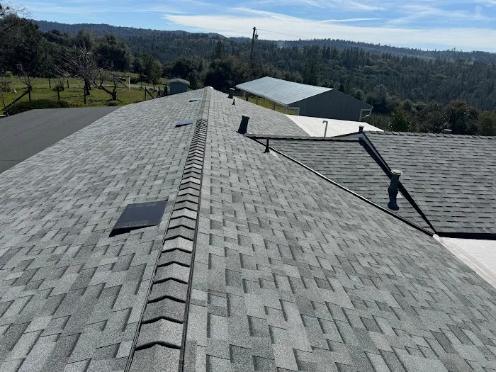 Iron Roofing Picture 6