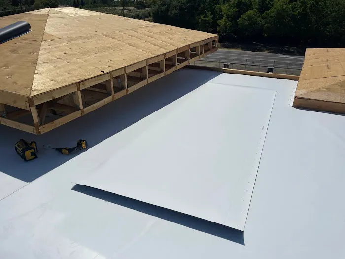 Iron Roofing Picture 2