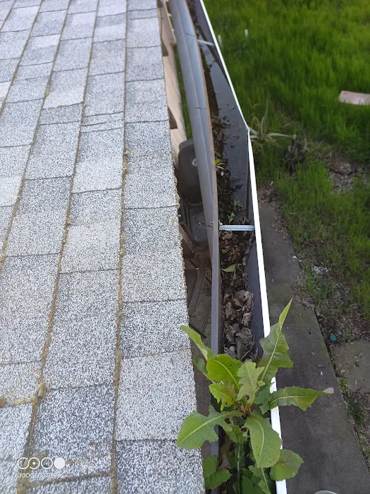 Reliable roof repairs Picture 4