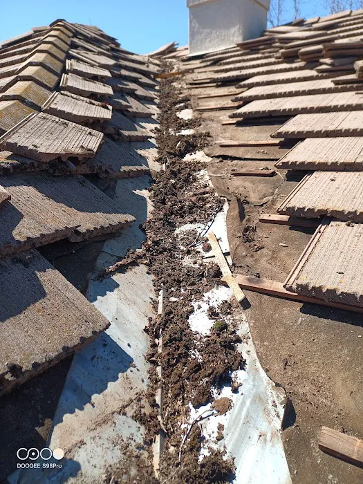 Reliable roof repairs Picture 7