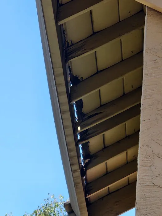 Rios Roofing Picture 6