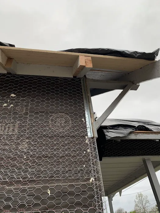 Marin's Roofing Picture 7