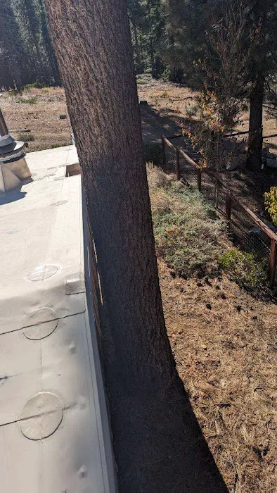 NS1 Roofing Inc Picture 8