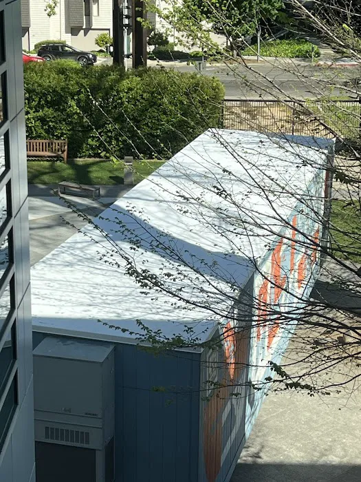 NS1 Roofing Inc Picture 10