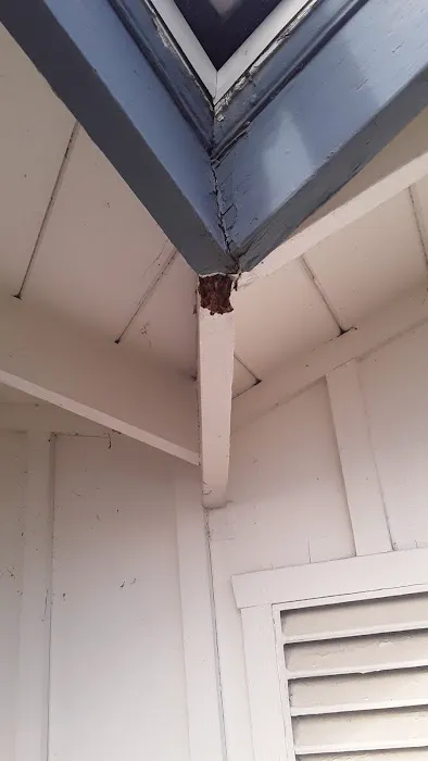 TopLine Roof Solutions Picture 2