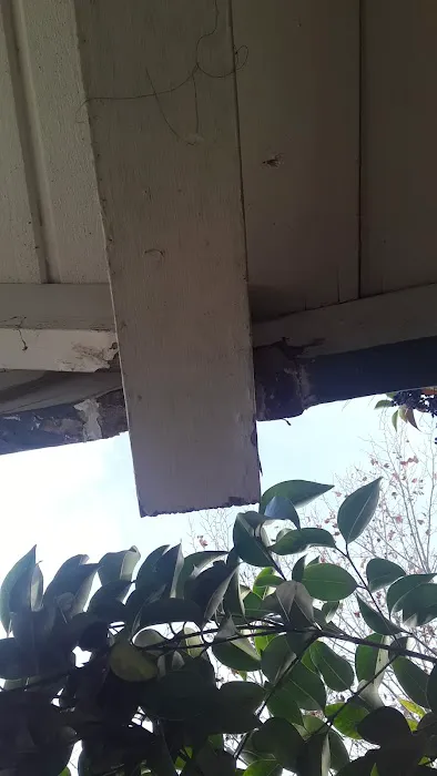 TopLine Roof Solutions Picture 3