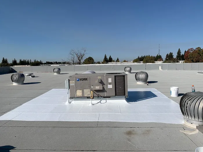 California Flat Roofs Picture 8