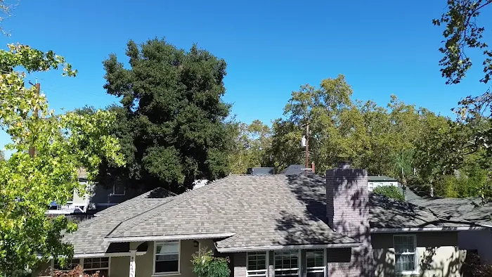 Los Reyes Roofing Inc Picture 7