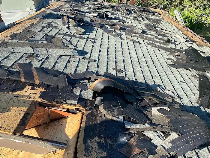 Los Reyes Roofing Inc Picture 4