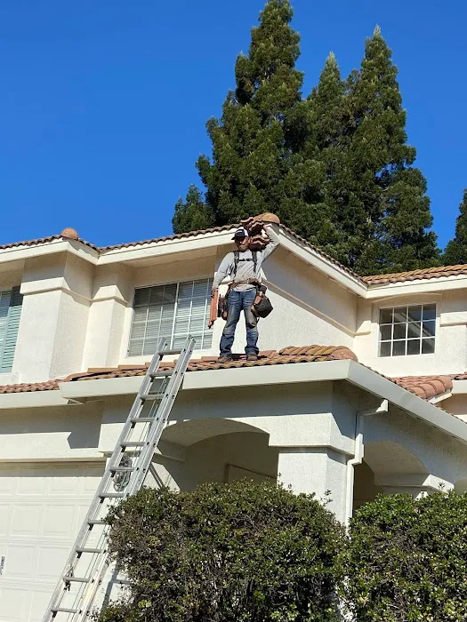 Los Reyes Roofing Inc Picture 8