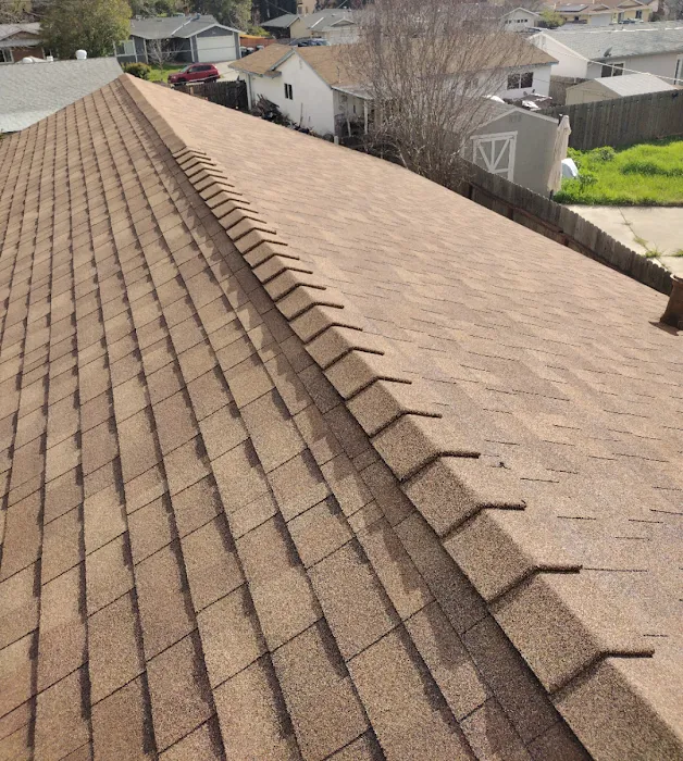 Los Reyes Roofing Inc Picture 9