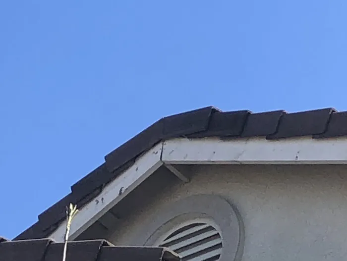 Sacramento Roofing Inc Picture 6