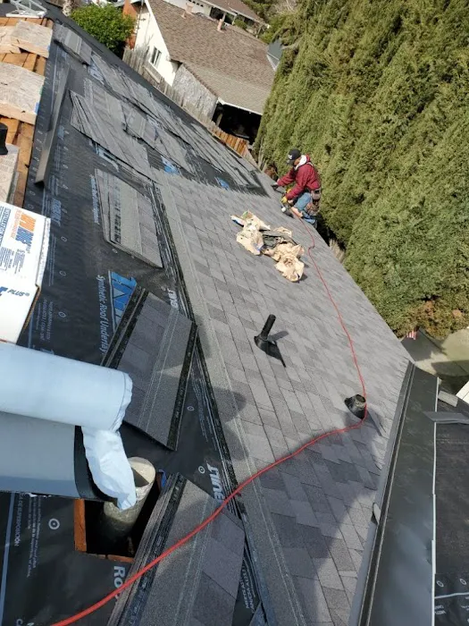Roofing Pros Sacramento Picture 7