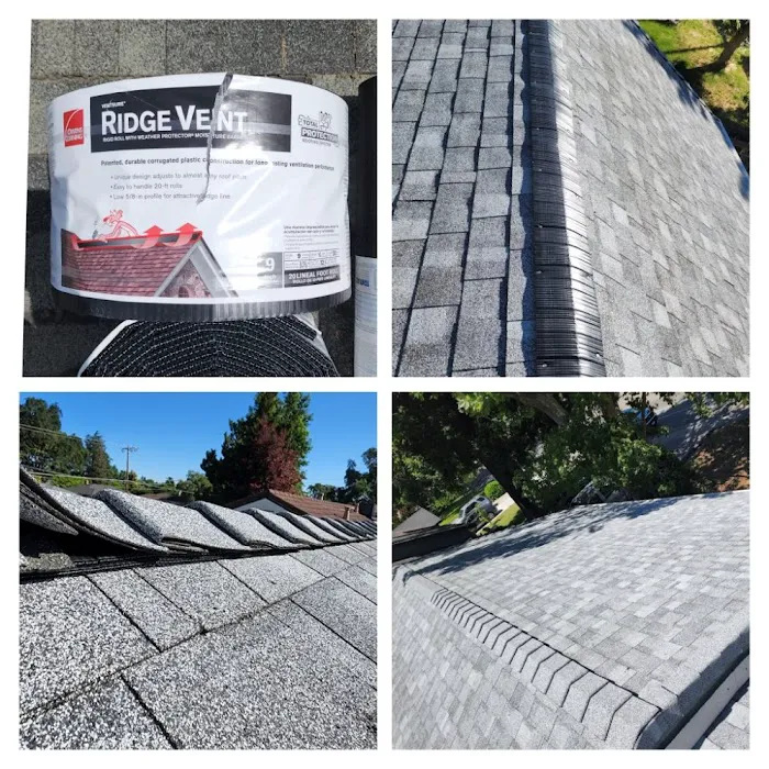 Roofing Pros Sacramento Picture 6
