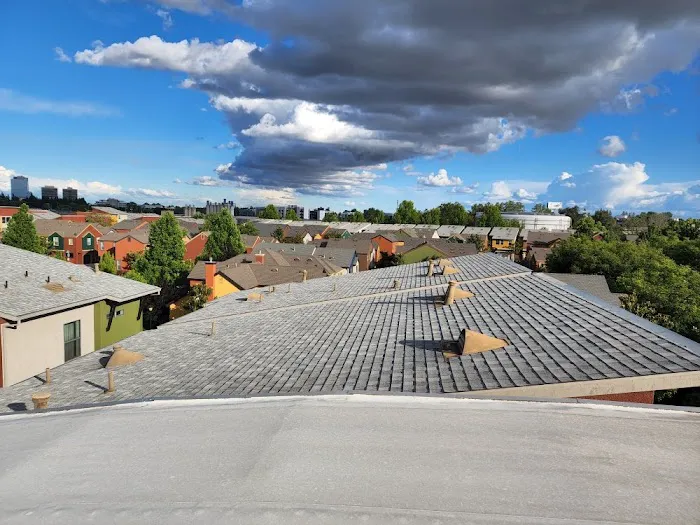 Roofing Pros Sacramento Picture 10