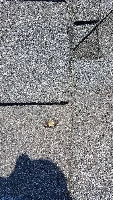 Paramount Roofing Solutions Picture 6