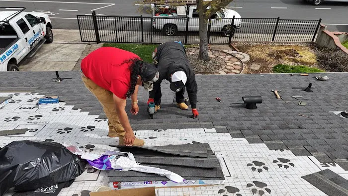 Shield Guard Roofing Picture 1