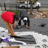 Shield Guard Roofing ico