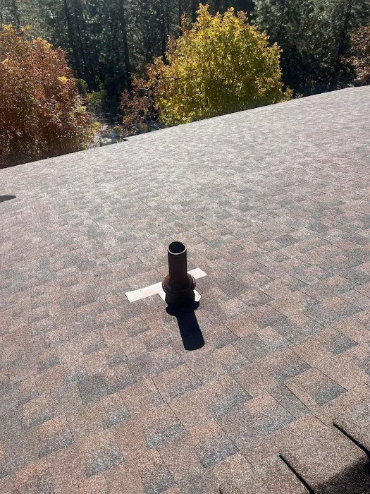 Shield Guard Roofing Picture 2