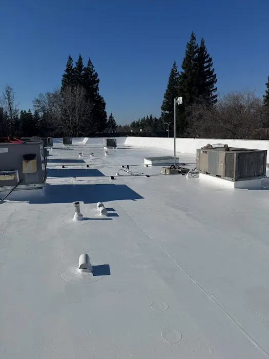 Edgeline Roofing Services Picture 1