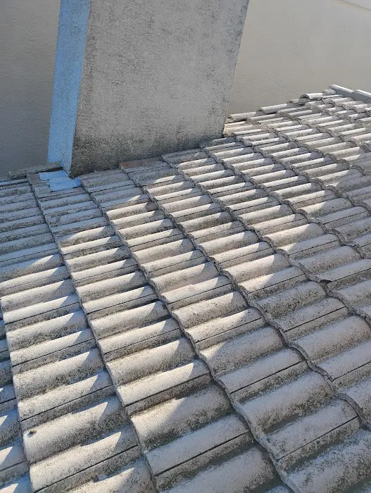 4 Ever Roofing Inc. Picture 3