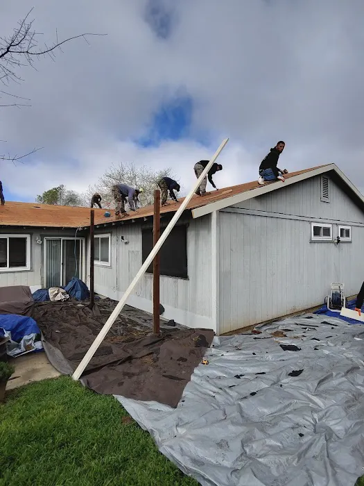 Nextop Roofing Picture 8