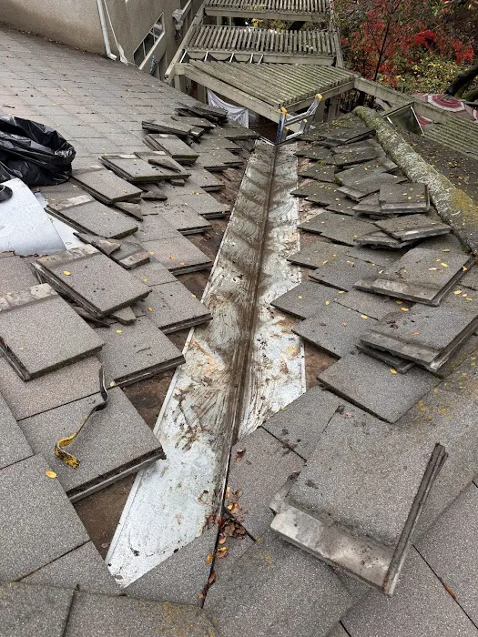 Nextop Roofing Picture 10