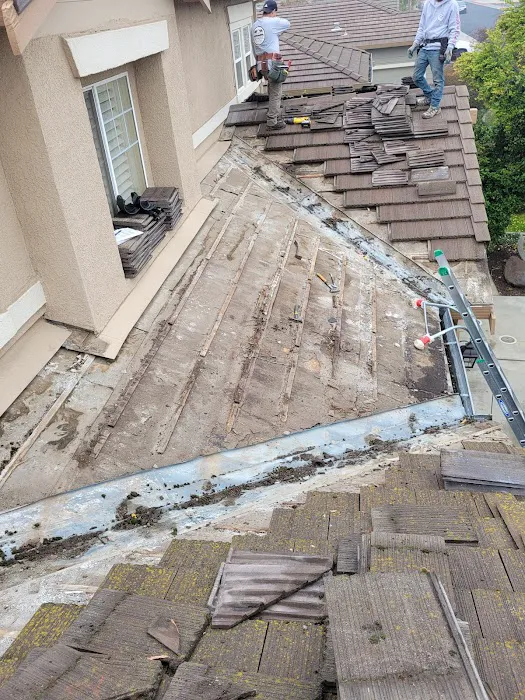 Olympus roofing Picture 7