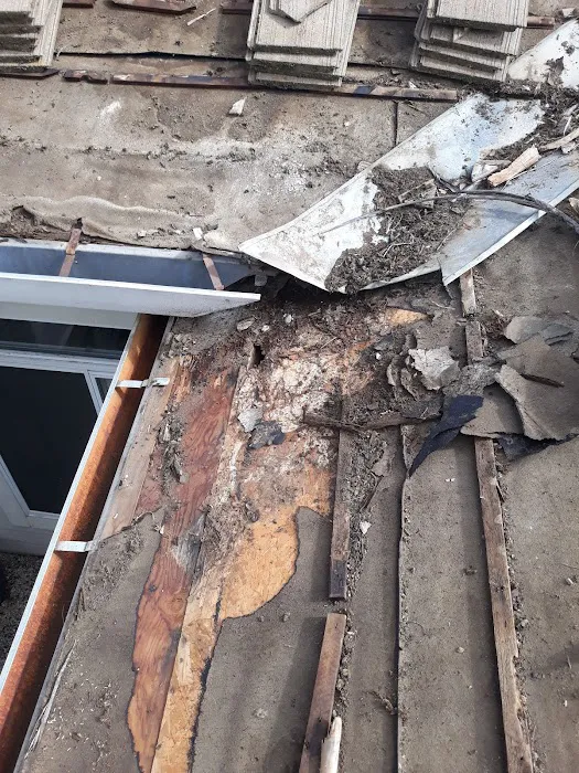 Olympus roofing Picture 10