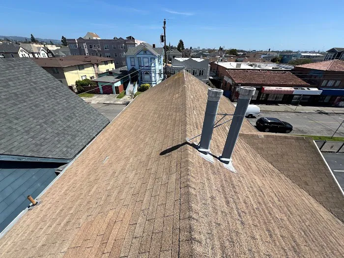 Cobex Construction Group - Roofing Picture 2