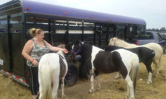 PeakMaster Roofing Services Picture 2