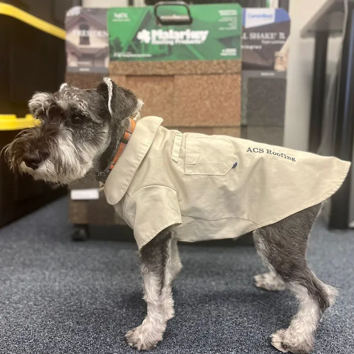 ACS Roofing Picture 1