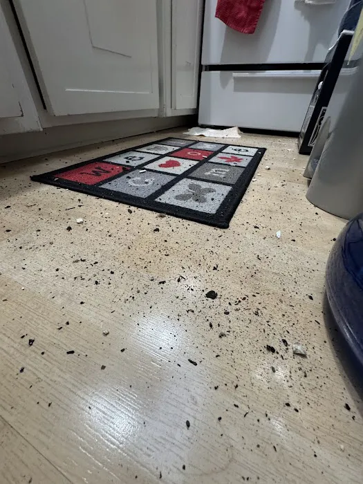 D 7 Roofing Services Picture 3