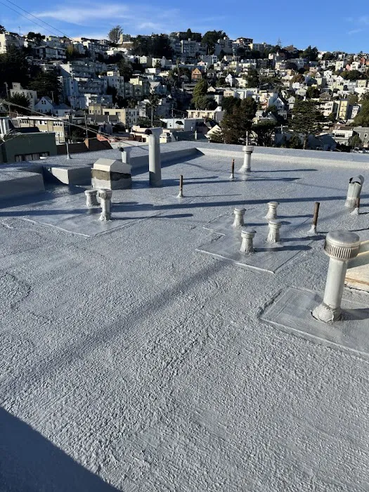 All Roof Pros Picture 7