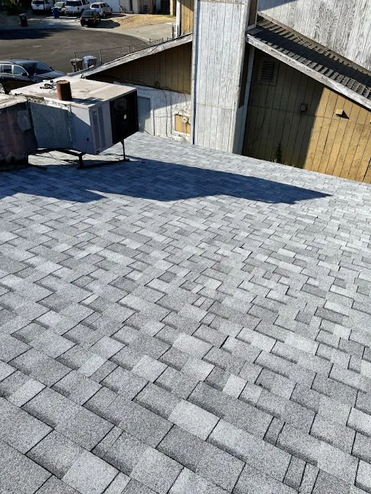 All Roof Pros Picture 8