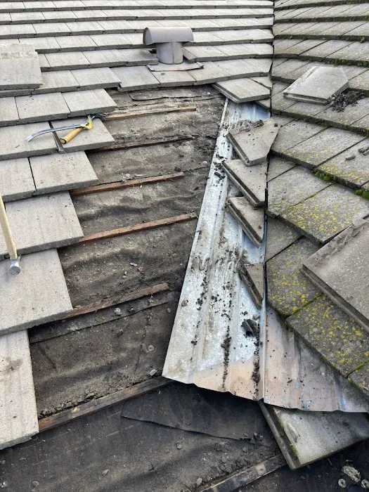 All Roof Pros Picture 6