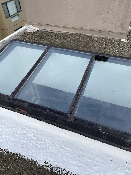 All Roof Pros Picture 4