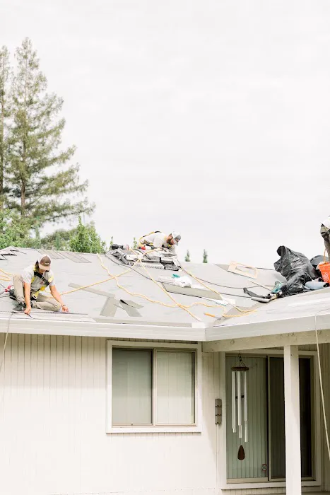 Triark Roofing Picture 4