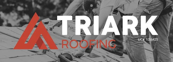 Triark Roofing Picture 3