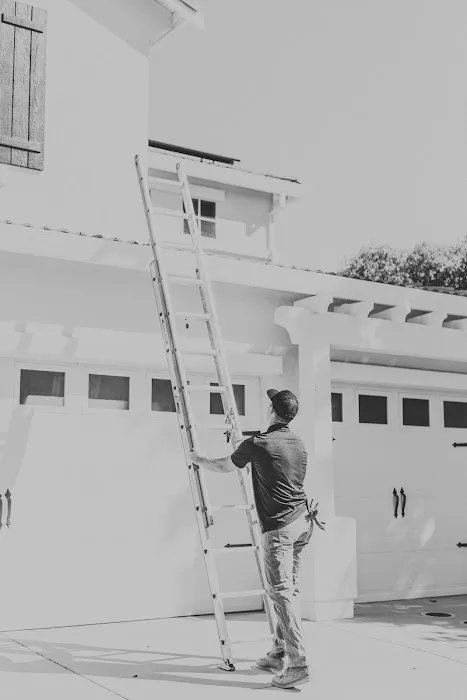 Triark Roofing Picture 7